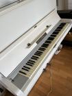 Ritter Halle piano, wit