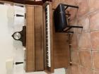 Gratis piano met pianokruk