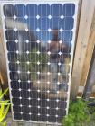 Zonnepanelen