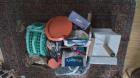 Katten artikelen 