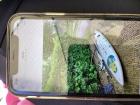 Surfplank gratis af te halen