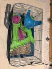 hamsterkooi