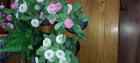 Kunstplantjes
