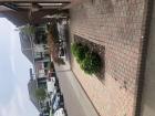 Gratis terras stenen
