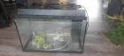 Oud Juwel Aquarium