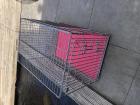 Dieren