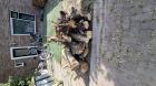 Grof openhaard hout