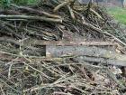 Hout/takken om te versnipperen of verbranden 12 m3