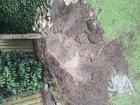 Zwarte grond