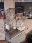  Valkparkiet en kooi met toebehoren