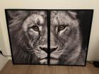 2x Canvas plus lijsten 90 bij 60