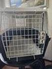 Grote transportbox hond of grote kat