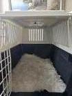 Grote transportbox hond of grote kat