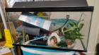 Gratis aquarium met alle toebehoren