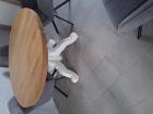 Mooie eettafel