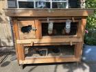Cavia’s 3+ verblijf 