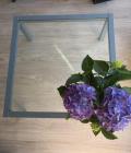 Salontafel met glasplaat 