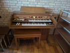 Orgel