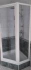 Douchecabine vijfhoek 100x100