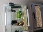 Aquarium 