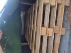 Af te halen: 8 houten pallets