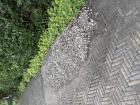 Grind grof gemengd 