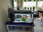 aquarium
